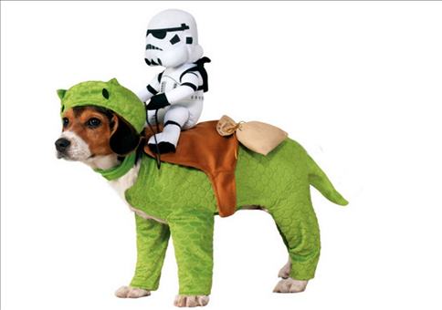 Star Wars Hund