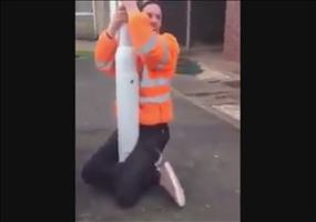 Gefangen am Laternenpfahl