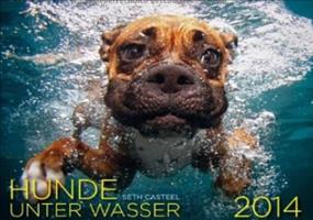Hunde unter Wasser 2014