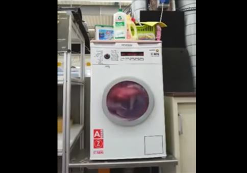 Kühlschrank als Waschmaschine getarnt