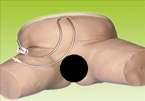 Katheterisierungs-Simulator