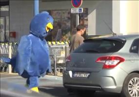 Follow me on Twitter - Rémi Gaillard