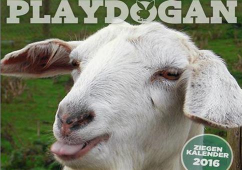 Hornoxe.com – Picdump #467