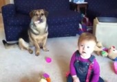 Kind lacht über Hund der Seifenblasen frisst