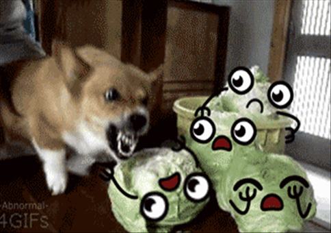 Hornoxe.com - Gifdump #173 - Animierter Picdump