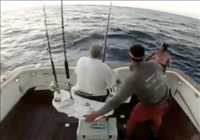 Großen Fisch fangen! PANIC TIME!!