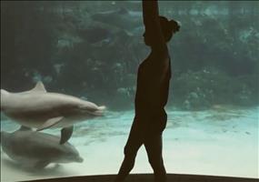 Mädchen beeindruckt einen Delfin