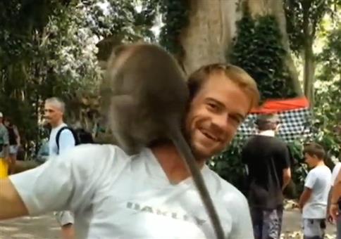 Und das alles auf seiner Schulter