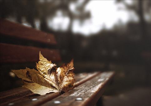 Hornoxe.com - Gifdump #171 - Animierter Picdump