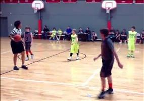 Er wird später mal Schwalbenkönig