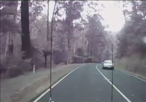 Eine Autofahrt durch den Wald bei starkem Wind