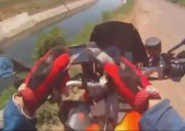 Motorradfahrer rettet Kalb