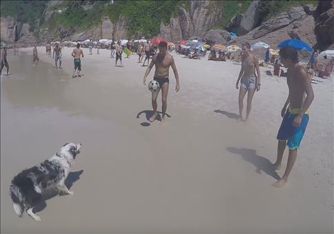 Am Strand mit Hundehilfe den Ball in der Luft halten