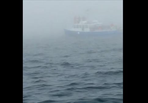 Wenn der Wal mal kurz Hallo sagt