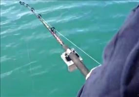 Wenn der Killerwal beim Angeln stört