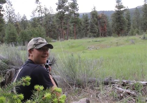 Der Schrei eines Berglöwen