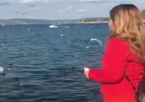 Den Möwen eine Bretzel zuwerfen