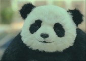 Sag niemals nein zu Panda - Part 2
