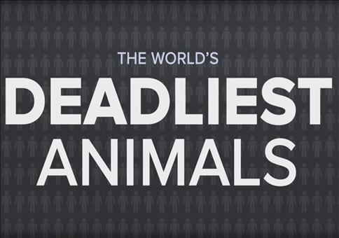 Was ist das weltweit tödlichste Tier?