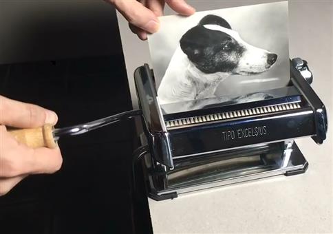 Aus einem Hund mach vier