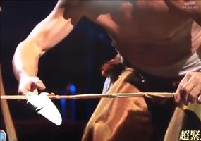 Der Meister der Balance