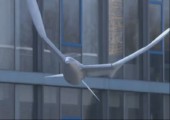 Funktionsfähiger Modelflug-Vogel