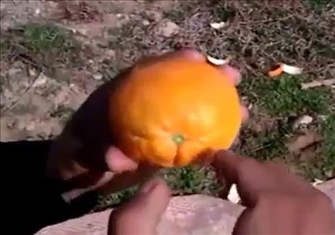 Orange schälen - So wirds richtig gemacht!
