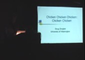 Chicken chicken chicken