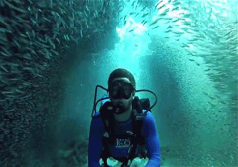 Hornoxe.com - Gifdump #149 - Animierter Picdump