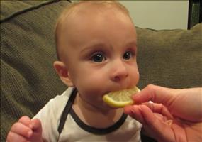 Baby testet Zitrone