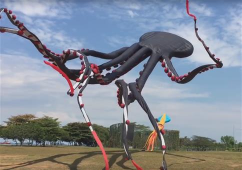 Riesiger Octopus-Drachen