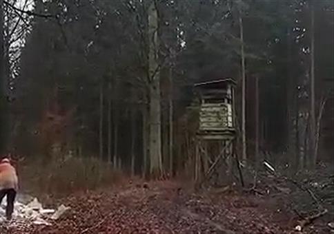 Moderner Hochsitzabbau