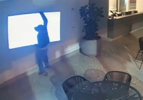 Einbrecher wollen Fernseher stehlen