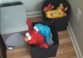 Elmo und das Krümelmonster haben Spaß