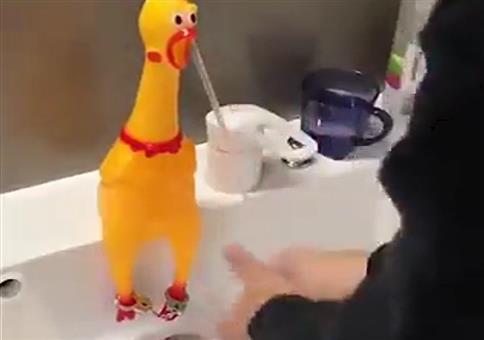 Wasserhahn schreiendes Huhn Mod