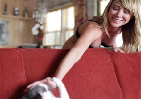 Hornoxe.com - Gifdump #189 - Animierter Picdump