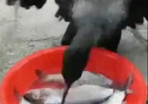 Er kriegt den Hals nicht voll