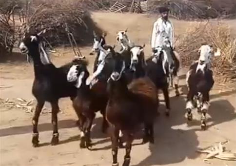 Die Crew ist wieder unterwegs