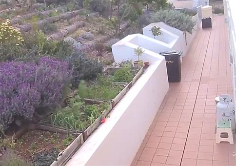 Und die Mülltonne so: 