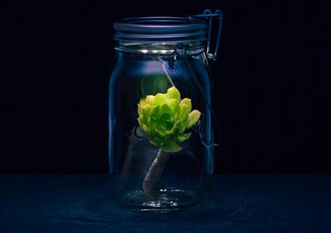 Sonnenglas - Solarlampe im Einmachglas