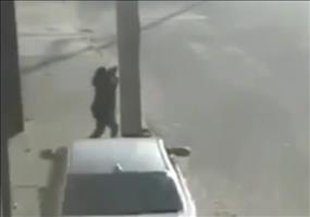 Das war knapp - Vom Mast gerettet