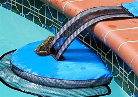 Eine gute Tat am Pool