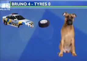 Geniale Infografik in den Nachrichten