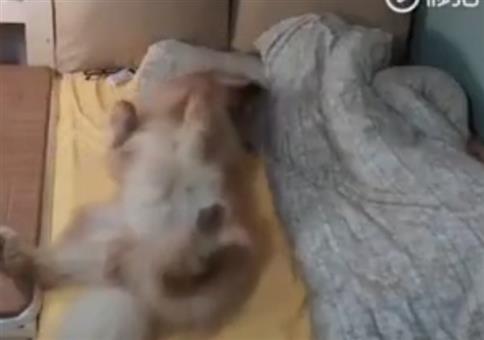 Das Bett ist nie groß genug