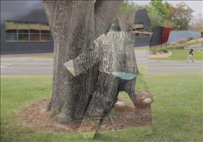 Zach Kings Best Vines 2014