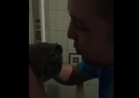 Die Schildkröte küssen und ablecken