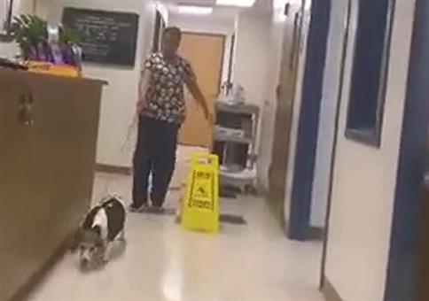 Wenn dein Hund wie ein TIE Fighter aus Star Wars klingt