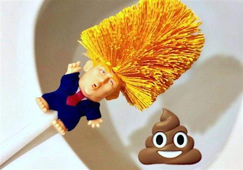 Würdet ihr das eurem Klo antun?