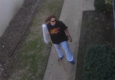 Wenn sich die Crackhead Nachbarn im Hinterhof bekriegen