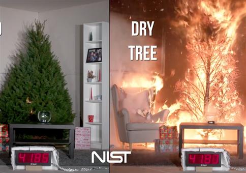 Brennende Weihnachtsbäume: Gewässert VS trocken